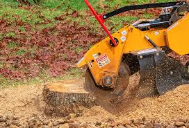 Best Grass Overseeding  in Baywood, NY