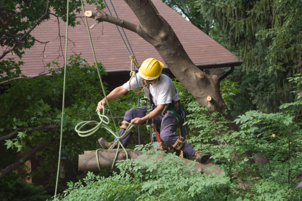 Best Landscape Design and Installation  in Baywood, NY